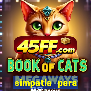 simpatia para ganhar na mega sena com arroz